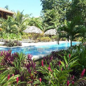 Deluxe Queen Poolside Room Ocean View